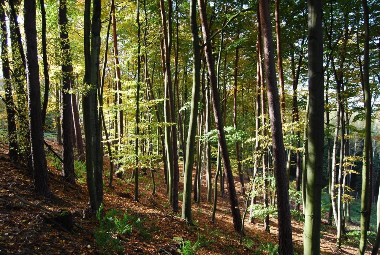 Osrodek Wypoczynkowy Laguna Lubniewice Esterno foto